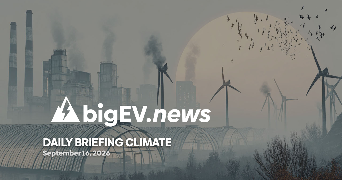Climate Shocks and Carbon Strategies Reshape Global Markets