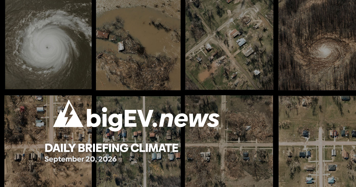 Climate Disasters and Carbon Strategies Reshape Global Markets